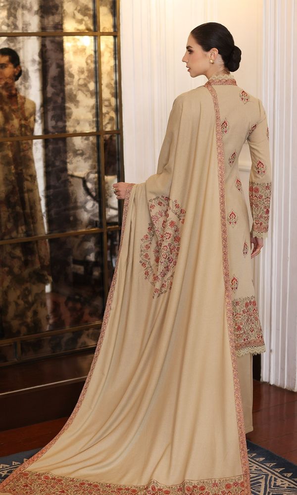 Dhanak 3pc unstitched heavy embroidered suit with embroidered shawl and patched